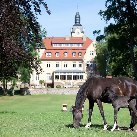 Oliver Im Bernstein Resort, Cleaning Included Vakantiehuis *